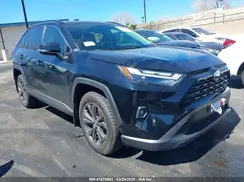 JTMB6RFV0RD126685 2024 TOYOTA RAV 4