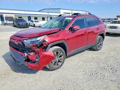 JTMB6RFV0RD136889 2024 TOYOTA RAV 4