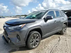 JTMB6RFV0RD137444 2024 TOYOTA RAV 4