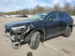 JTMB6RFV0RD139808 2024 TOYOTA RAV 4