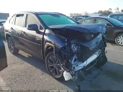 JTMB6RFV0RD141316 2024 TOYOTA RAV 4