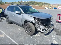 JTMB6RFV0RD146645 2024 TOYOTA RAV 4