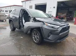 JTMB6RFV0RD149383 2024 TOYOTA RAV 4
