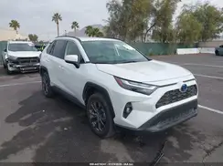 JTMB6RFV0RD558354 2024 TOYOTA RAV 4