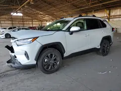 JTMB6RFV0RJ041430 2024 TOYOTA RAV 4