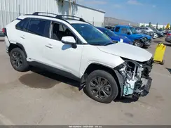 JTMB6RFV0RJ053853 2024 TOYOTA RAV 4
