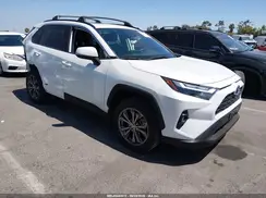 JTMB6RFV0RJ060088 2024 TOYOTA RAV 4