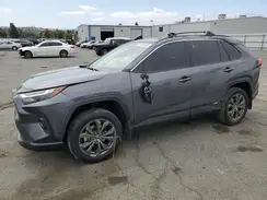 JTMB6RFV0SD152726 2025 TOYOTA RAV 4