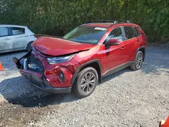 JTMB6RFV0SD164102 2025 TOYOTA RAV 4
