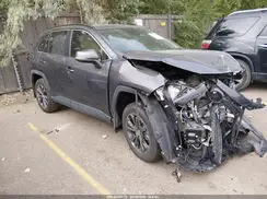 JTMB6RFV0SJ094683 2025 TOYOTA RAV 4