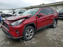JTMB6RFV1MD039998 2021 TOYOTA RAV 4