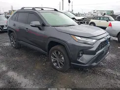 JTMB6RFV1PD087571 2023 TOYOTA RAV 4