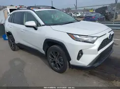 JTMB6RFV1PD100562 2023 TOYOTA RAV 4