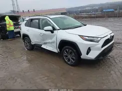 JTMB6RFV1PJ033950 2023 TOYOTA RAV 4