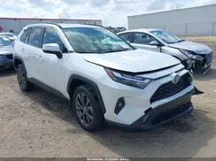 JTMB6RFV1RD120331 2024 TOYOTA RAV 4