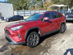JTMB6RFV1RD127022 2024 TOYOTA RAV 4