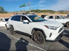 JTMB6RFV1RD143317 2024 TOYOTA RAV 4