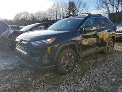 JTMB6RFV1RD143351 2024 TOYOTA RAV 4