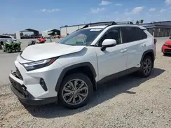 JTMB6RFV1RD559352 2024 TOYOTA RAV 4