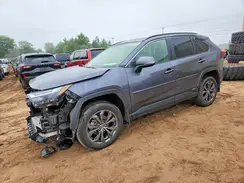 JTMB6RFV1SD158261 2025 TOYOTA RAV 4