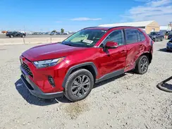 JTMB6RFV2PD079947 2023 TOYOTA RAV 4