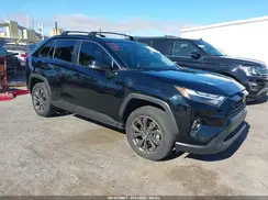 JTMB6RFV2PD081990 2023 TOYOTA RAV 4