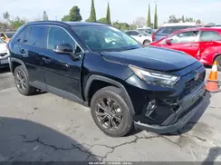 JTMB6RFV2PD095341 2023 TOYOTA RAV 4
