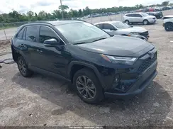 JTMB6RFV2PD099342 2023 TOYOTA RAV 4