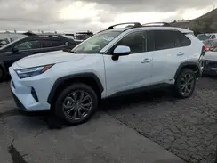 JTMB6RFV2PD549541 2023 TOYOTA RAV 4