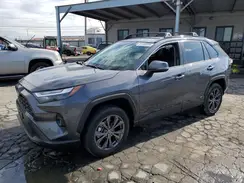 JTMB6RFV2RD136702 2024 TOYOTA RAV 4