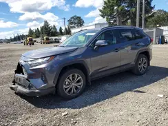 JTMB6RFV2RD138269 2024 TOYOTA RAV 4