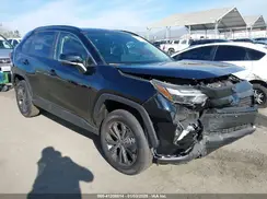 JTMB6RFV2RD149823 2024 TOYOTA RAV 4
