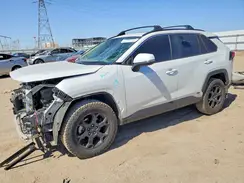 JTMB6RFV2RD569016 2024 TOYOTA RAV 4