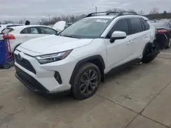 JTMB6RFV2RJ046614 2024 TOYOTA RAV 4