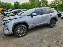 JTMB6RFV2SD157877 2025 TOYOTA RAV 4