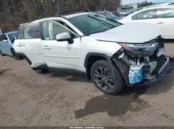 JTMB6RFV2SD575968 2025 TOYOTA RAV 4