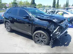 JTMB6RFV3PD083067 2023 TOYOTA RAV 4