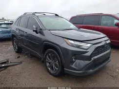 JTMB6RFV3PD084235 2023 TOYOTA RAV 4