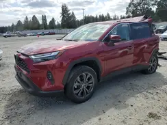 JTMB6RFV3PD103267 2023 TOYOTA RAV 4