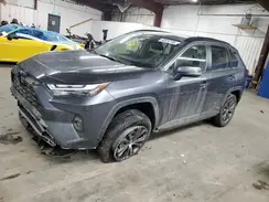 JTMB6RFV3RD117432 2024 TOYOTA RAV 4