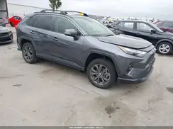JTMB6RFV3RD118869 2024 TOYOTA RAV 4