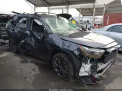 JTMB6RFV3RD128401 2024 TOYOTA RAV 4