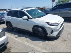 JTMB6RFV3RD560390 2024 TOYOTA RAV 4
