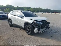 JTMB6RFV3RJ042619 2024 TOYOTA RAV 4