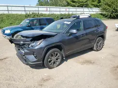 JTMB6RFV4PD084020 2023 TOYOTA RAV 4