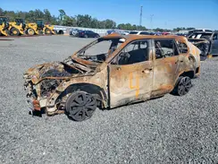 JTMB6RFV4PD084504 2023 TOYOTA RAV 4