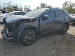 JTMB6RFV4PD089184 2023 TOYOTA RAV 4