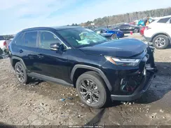 JTMB6RFV4PD113130 2023 TOYOTA RAV 4