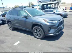 JTMB6RFV4RD118346 2024 TOYOTA RAV 4