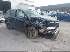 JTMB6RFV4RD125491 2024 TOYOTA RAV 4